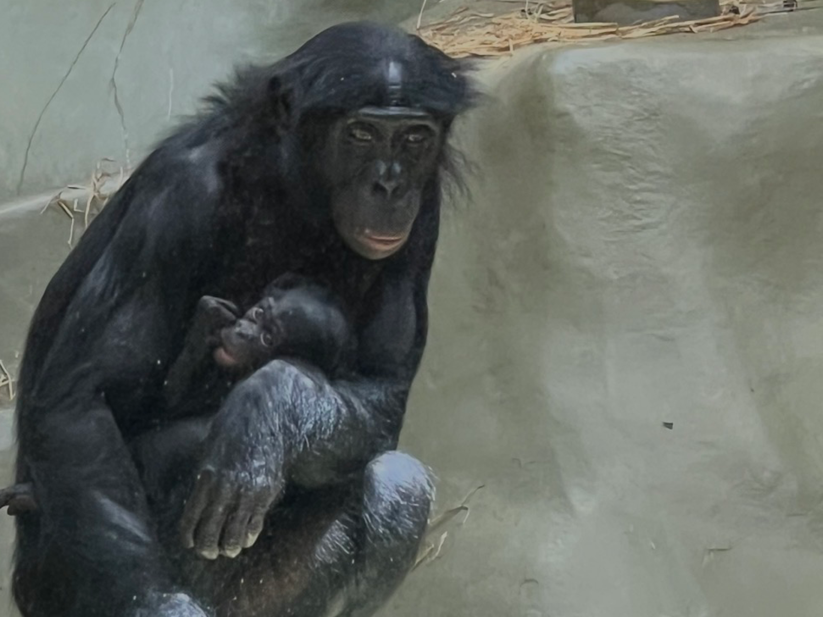 Kita-Erdenkinder-Wallefeld-Engelskirchen-Zoobesuch-