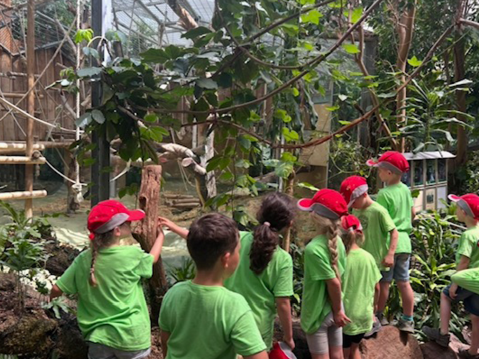 Kita-Erdenkinder-Wallefeld-Engelskirchen-Zoobesuch-